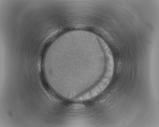 X0000115450644200912021007