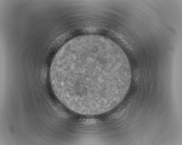 X0000115450645200912021007