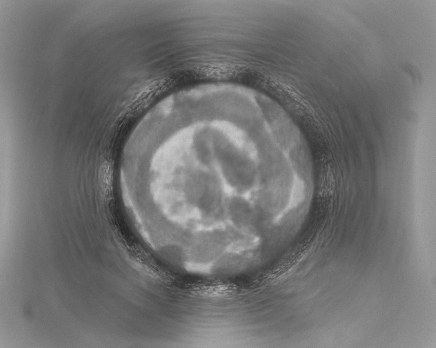 X0000115450646200912021007