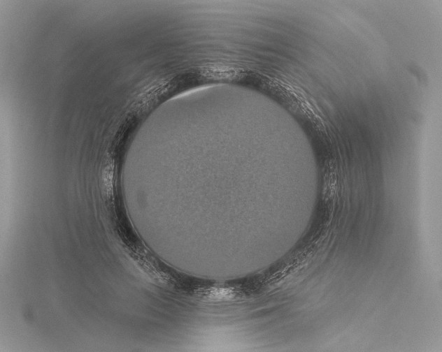 X0000115450647200912021007