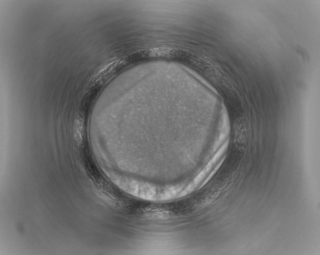 X0000115450648200912021007