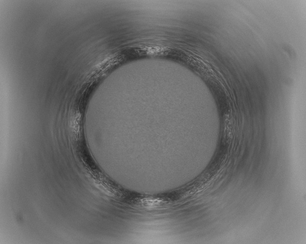 X0000115450650200912021007