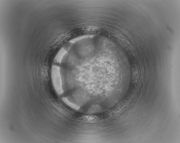 X0000115450654200912021007