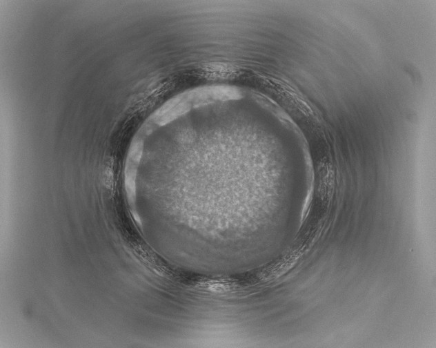 X0000115450655200912021007