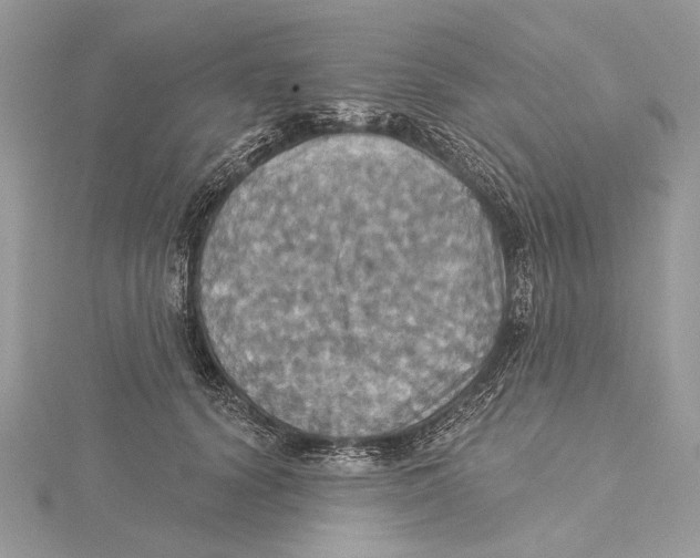 X0000115450656200912021007