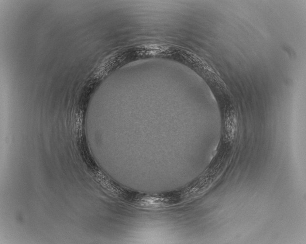 X0000115450657200912021007