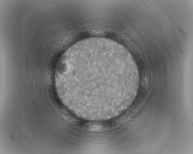 X0000115450658200912021007