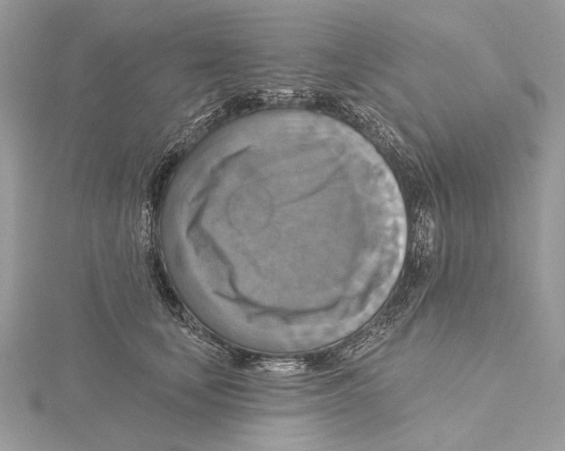 X0000115450659200912021007