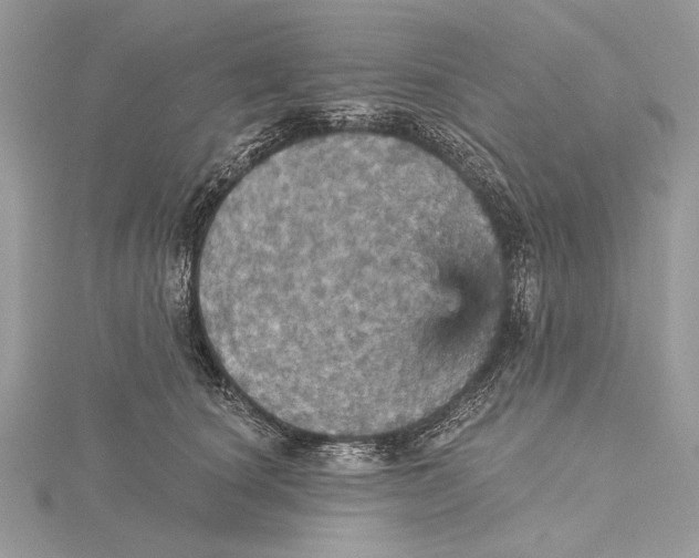 X0000115450660200912021007