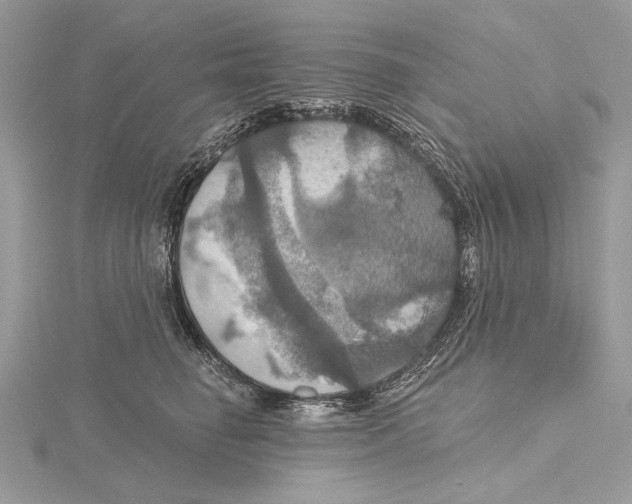 X0000115450662200912021007