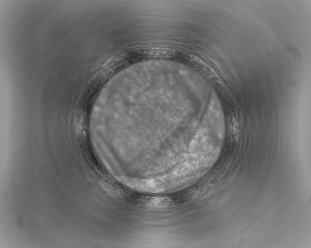 X0000115450663200912021007