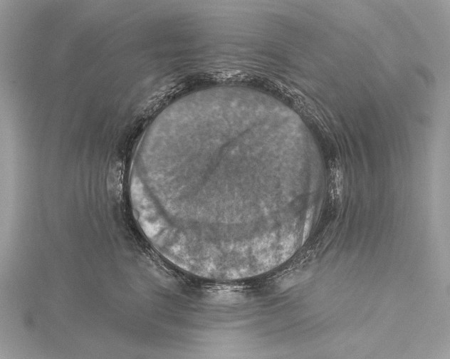 X0000115450664200912021007