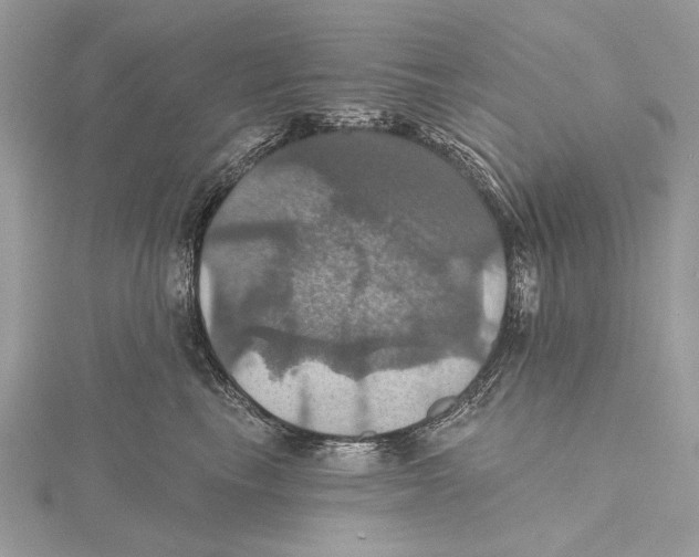 X0000115450665200912021007