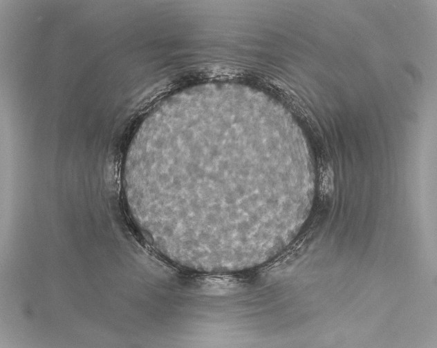 X0000115450666200912021007