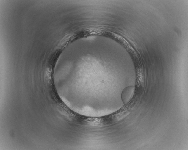 X0000115450667200912021007