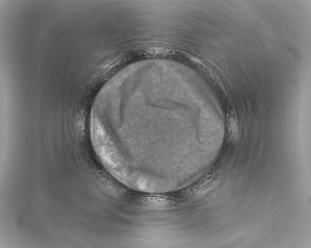 X0000115450668200912021007