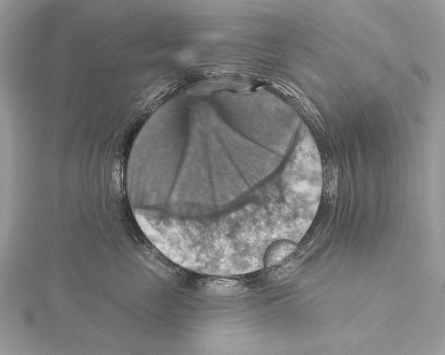 X0000115450669200912021007