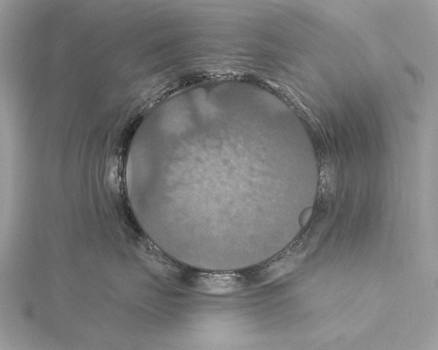 X0000115450671200912021007