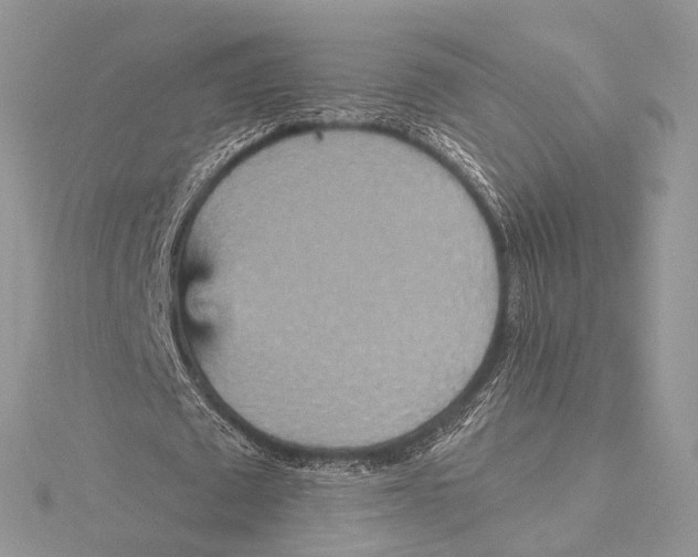 X0000115450673200912021006