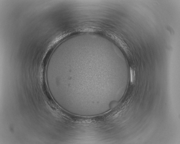 X0000115450675200912021006