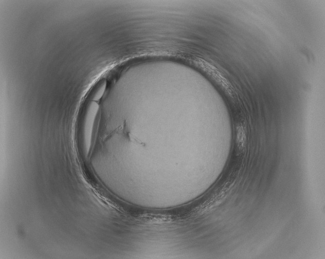 X0000115450676200912021006