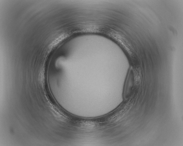 X0000115450677200912021006