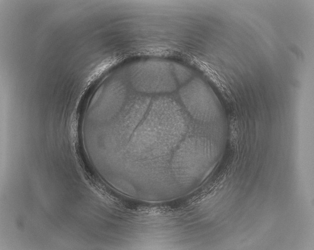 X0000115450679200912021006