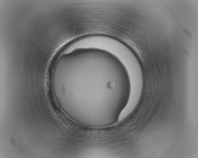 X0000115450680200912021006