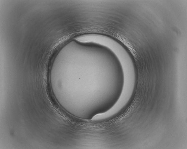 X0000115450681200912021006