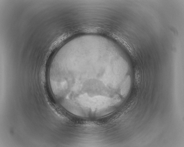 X0000115450682200912021006