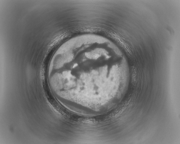 X0000115450683200912021006