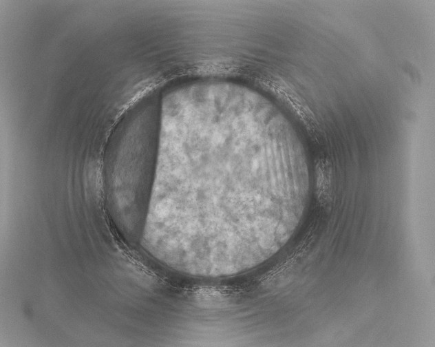 X0000115450684200912021006