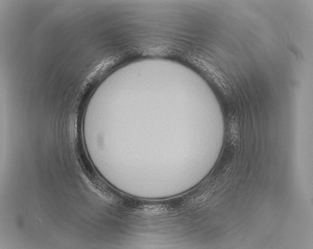 X0000115450686200912021006