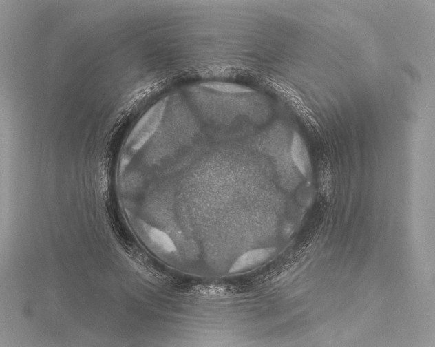 X0000115450687200912021006