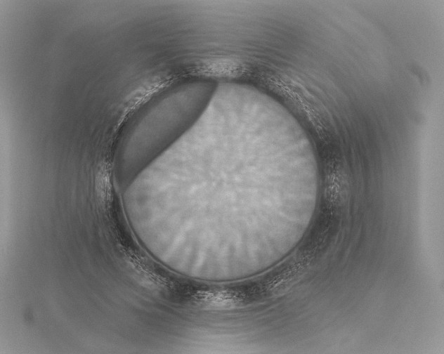 X0000115450688200912021006