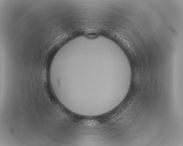 X0000115450689200912021006