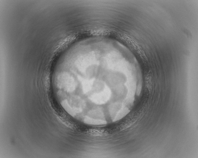 X0000115450690200912021006