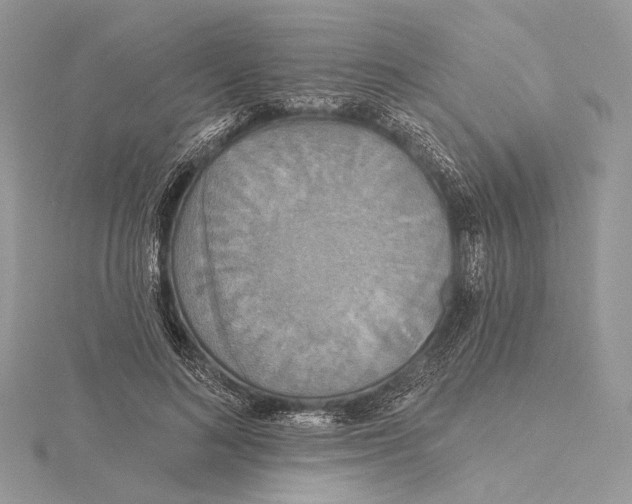 X0000115450692200912021006