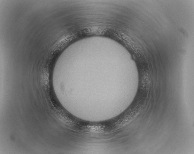 X0000115450693200912021006