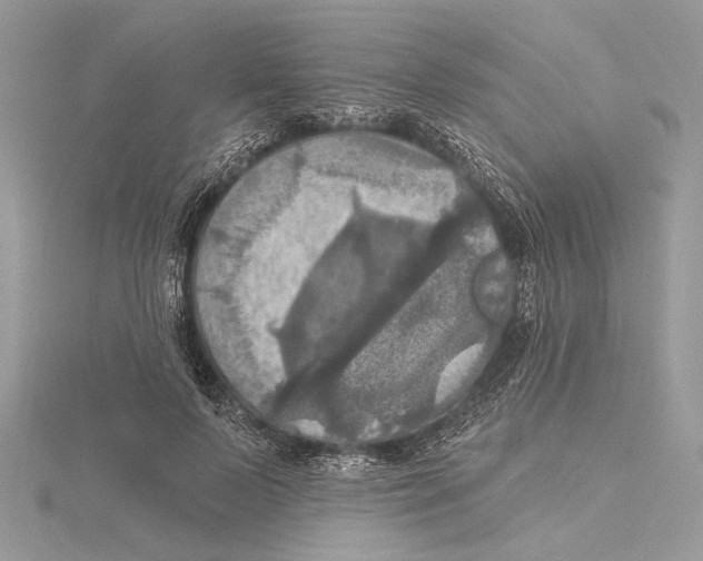 X0000115450695200912021006