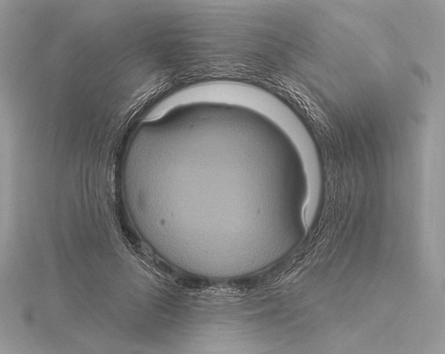 X0000115450696200912021006