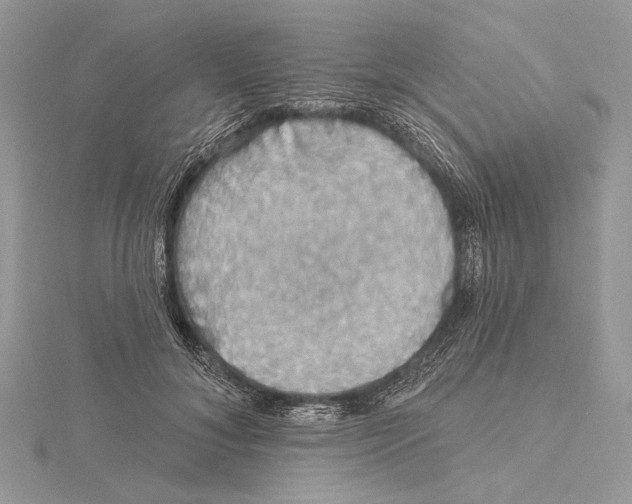 X0000115450700200912021006