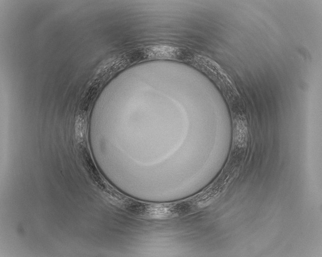 X0000115450701200912021006