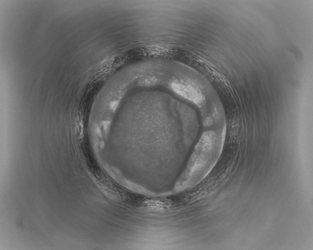 X0000115450703200912021006