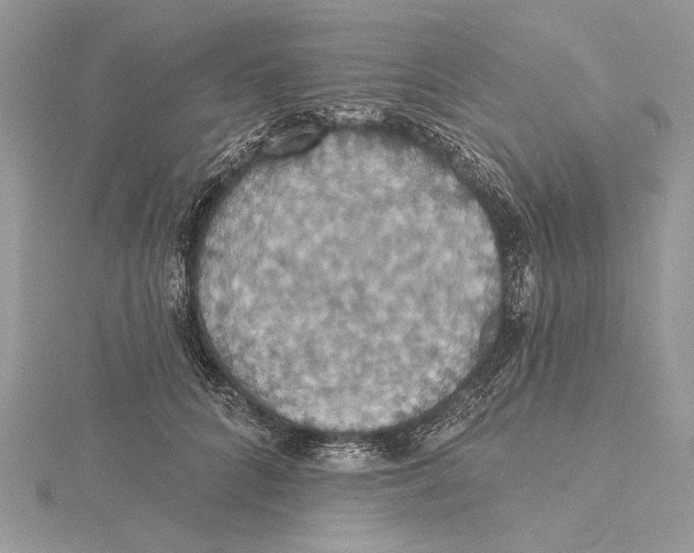 X0000115450704200912021006