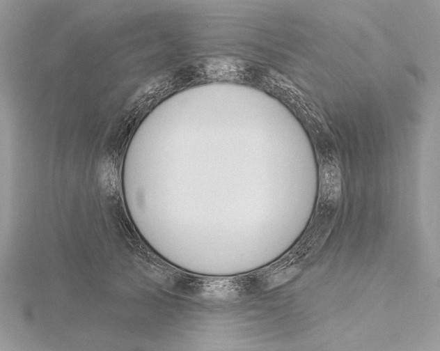 X0000115450705200912021006