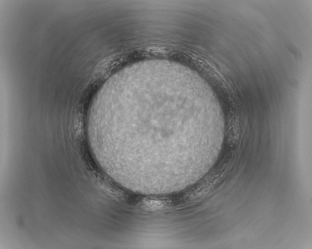 X0000115450706200912021006