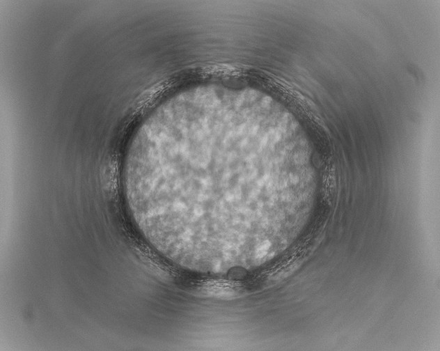 X0000115450708200912021006