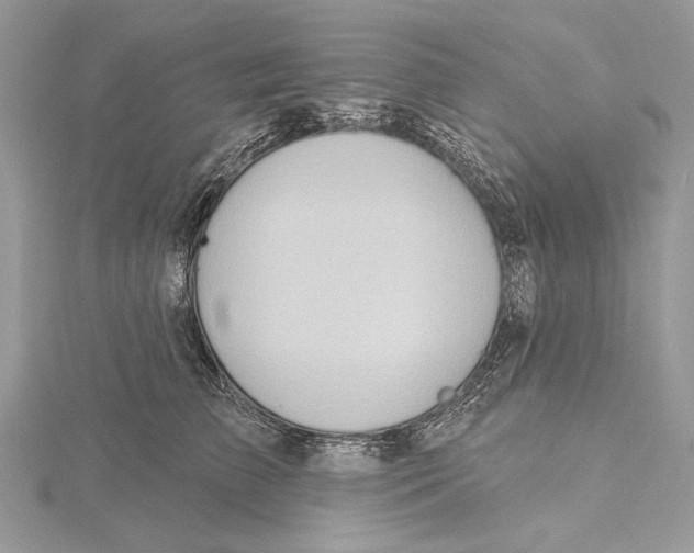 X0000115450709200912021006