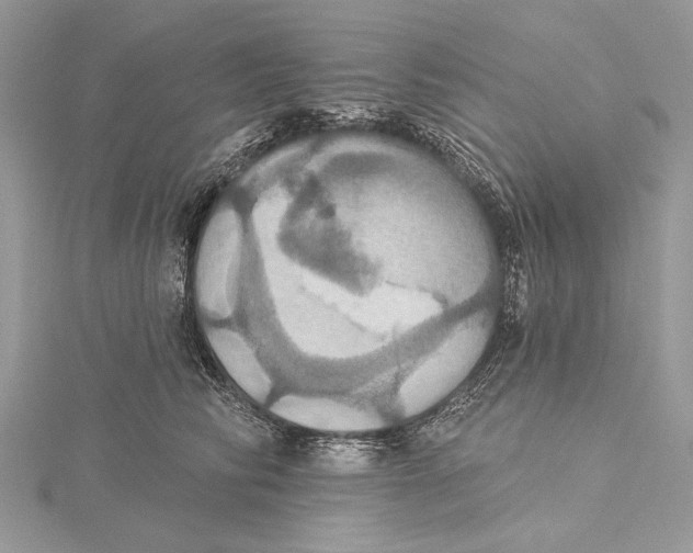 X0000115450710200912021006